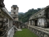 palenque-5